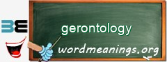 WordMeaning blackboard for gerontology